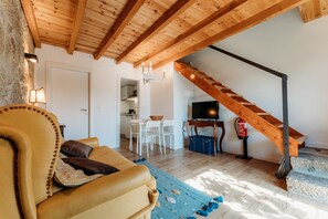 TV, fireplace, table football, books