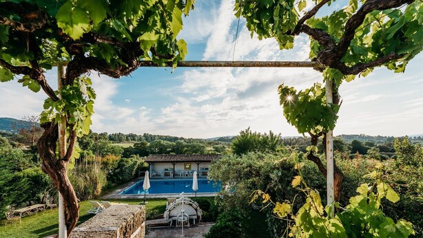 Un vignoble doté d’une piscine et d’un espace extérieur aménagé, entouré d’une végétation luxuriante et surplombant un ciel dégagé.