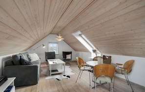 تلفزيون