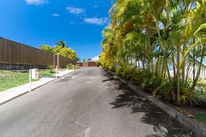 A residential street lined with palm trees and a wooden fence. - Magnificent 5 Br Villa with pool: amazing views (Puna'auia)