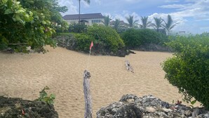 A sandy beach with a flag, palm trees, and a building in the background.