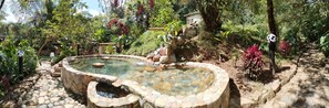 A stone fountain surrounded by lush greenery and a small building in the background. - Finca de la Vaca - Glamping (Cumandá)