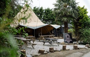 Restaurant - Honeycomb Lodge (Padstow)