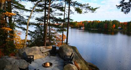 Black Bear | Lake Muskoka