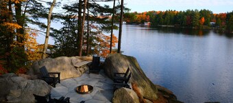 Black Bear | Lake Muskoka