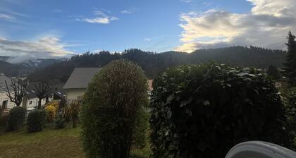 Ferienwohnung mit überdachter Terrasse und schönem Ausblick!