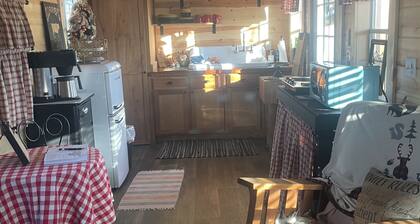 Brand new tiny cabin located on farm. Near rivers, trailsheads & national forest