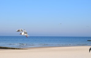 In Strandnähe