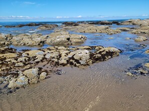 A rocky beach with clear water and a clear sky.