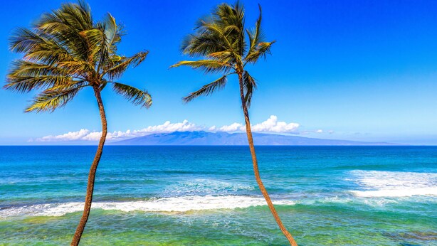 Two palm trees in front of a clear blue ocean with a mountain in the background. - Stunning oceanfront view with Maui-inspired design (Lahaina)