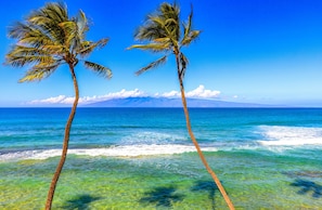 Two palm trees in front of a clear blue ocean with a mountain in the background.