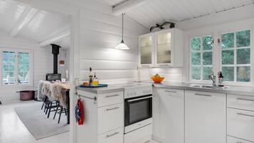 Frigorífico, placa de cocina, lavavajillas y cafetera o tetera