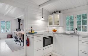Kühlschrank, Mikrowelle, Herdplatte, Geschirrspüler