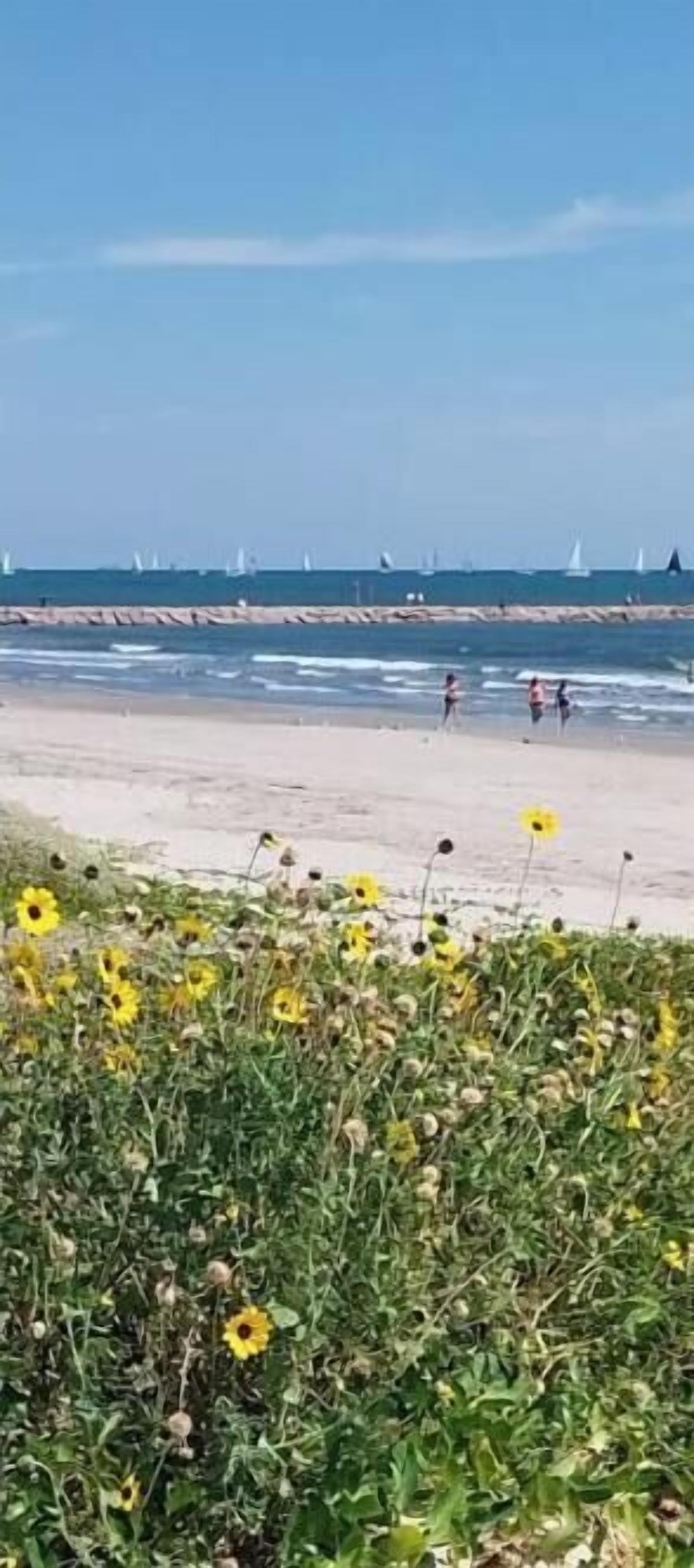 Solsenger og strandhåndklær