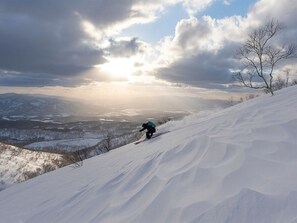 Sne- og skisport