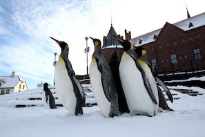 Pingüinos de pie en una zona nevada con edificios al fondo.