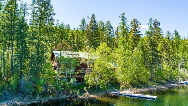 A cabin surrounded by dense forest, a dock extending into a calm lake, and a clear sky.