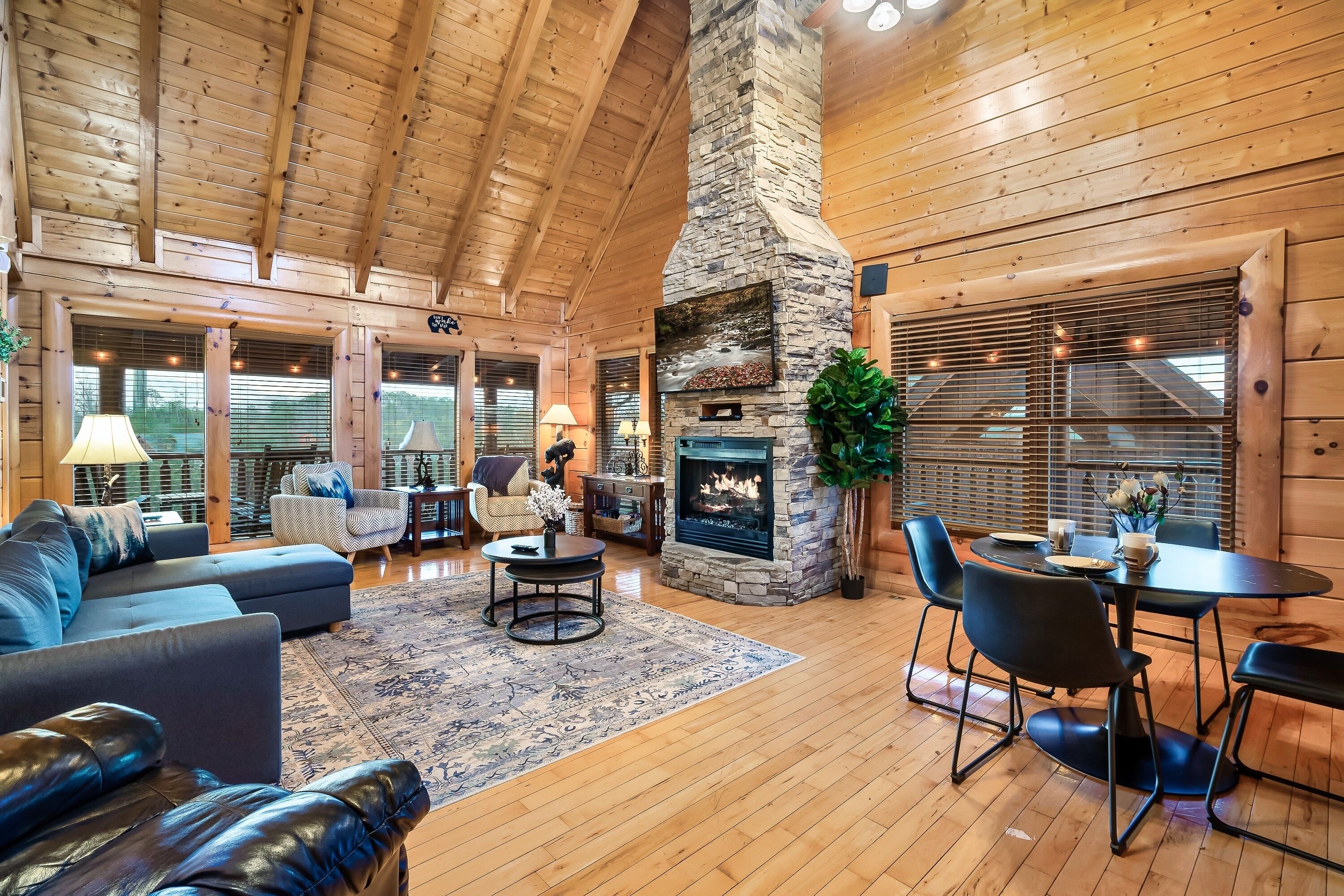 Smart TV, fireplace, video games, DVD player