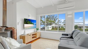 Smart-TV, Kamin