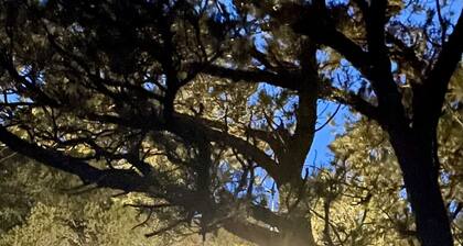 Campground at Jamail Ranch - 40 raw acres with Liberty coal mine site