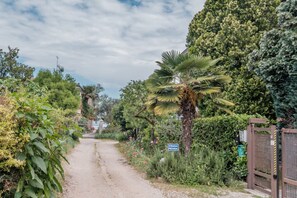 Un camí privat amb una porta, envoltat de vegetació exuberànt i una palmera.