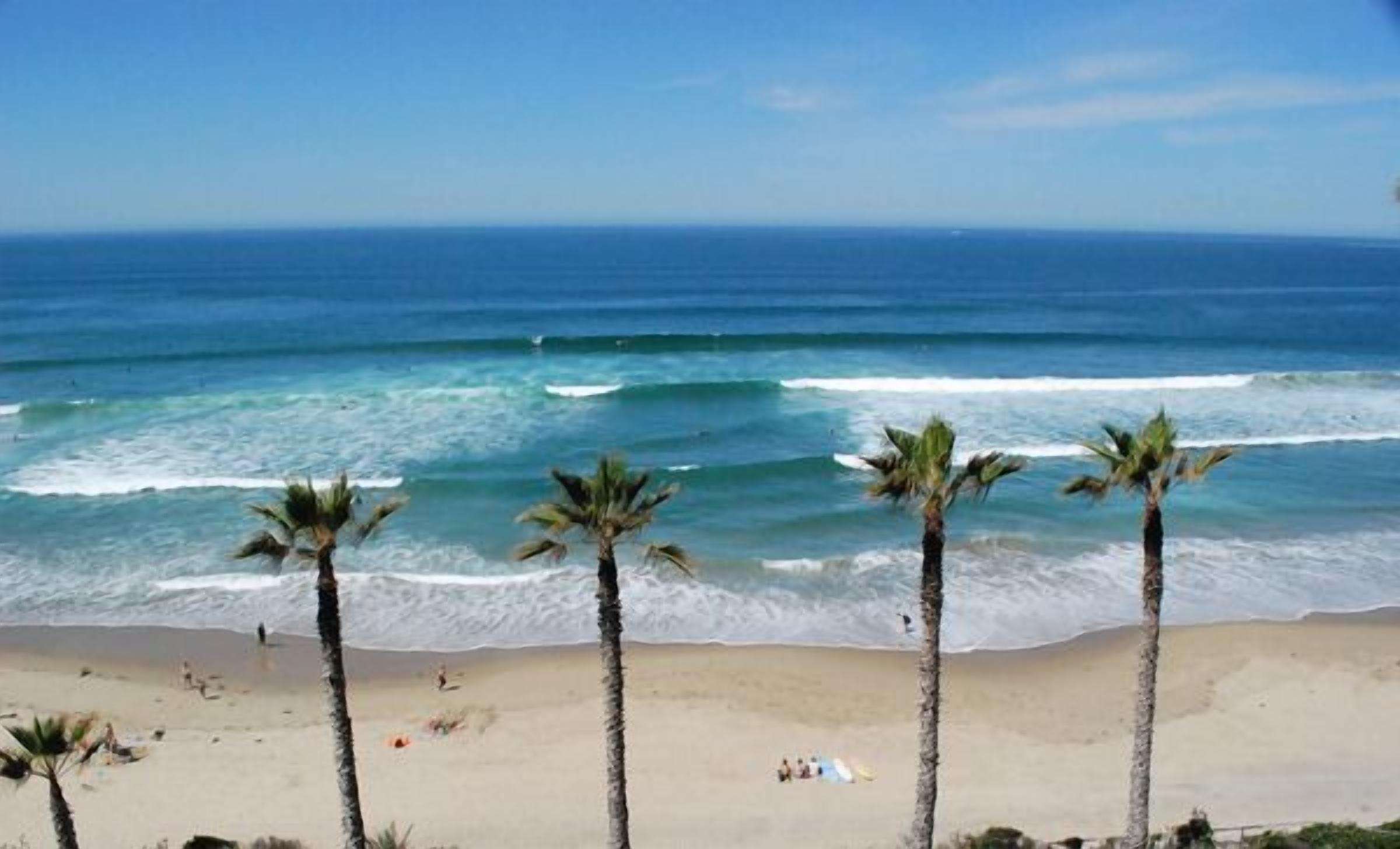 A beach with palm trees and the ocean.