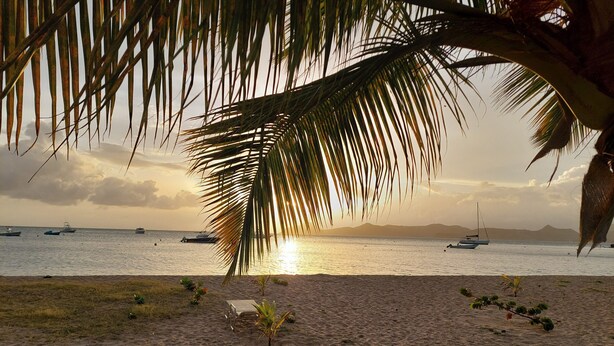 Una playa con una palmera, barcos y un atardecer.