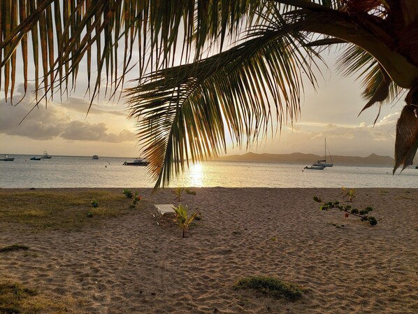Chaises longues, serviettes de plage