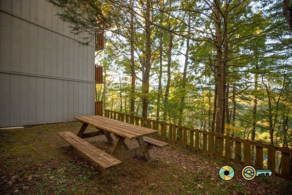 Restauration en plein air