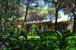 Property grounds - 5 Ala Birdi Cottage 150m From The Beach, Arborea, Italy (Arborea)