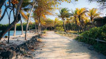 1 habitaciรณn, escritorio, tabla de planchar con plancha y wifi