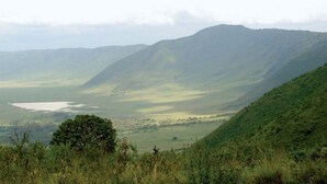 Safari