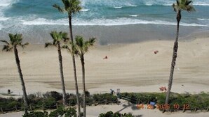A beach with palm trees, a sandy shore, and the ocean. - ONE BEDROOM CONDO 609 (San Diego)