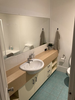 Hair dryer, towels, soap, toilet paper