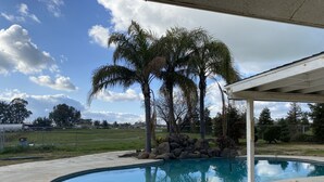 A swimming pool with a curved edge, surrounded by a concrete deck. There are palm trees and a rock formation near the pool. - Beautiful peaceful desirable home in Madera Rancho (Madera)