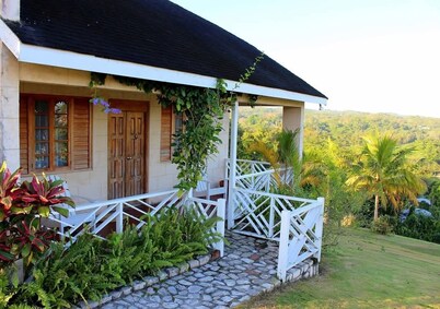 Escape to Parakeet Hill: Where Luxury Meets Nature’s Tranquility
