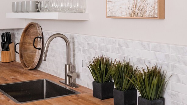 Une cuisine avec un plan de travail en bois, un évier et des plantes en pot.