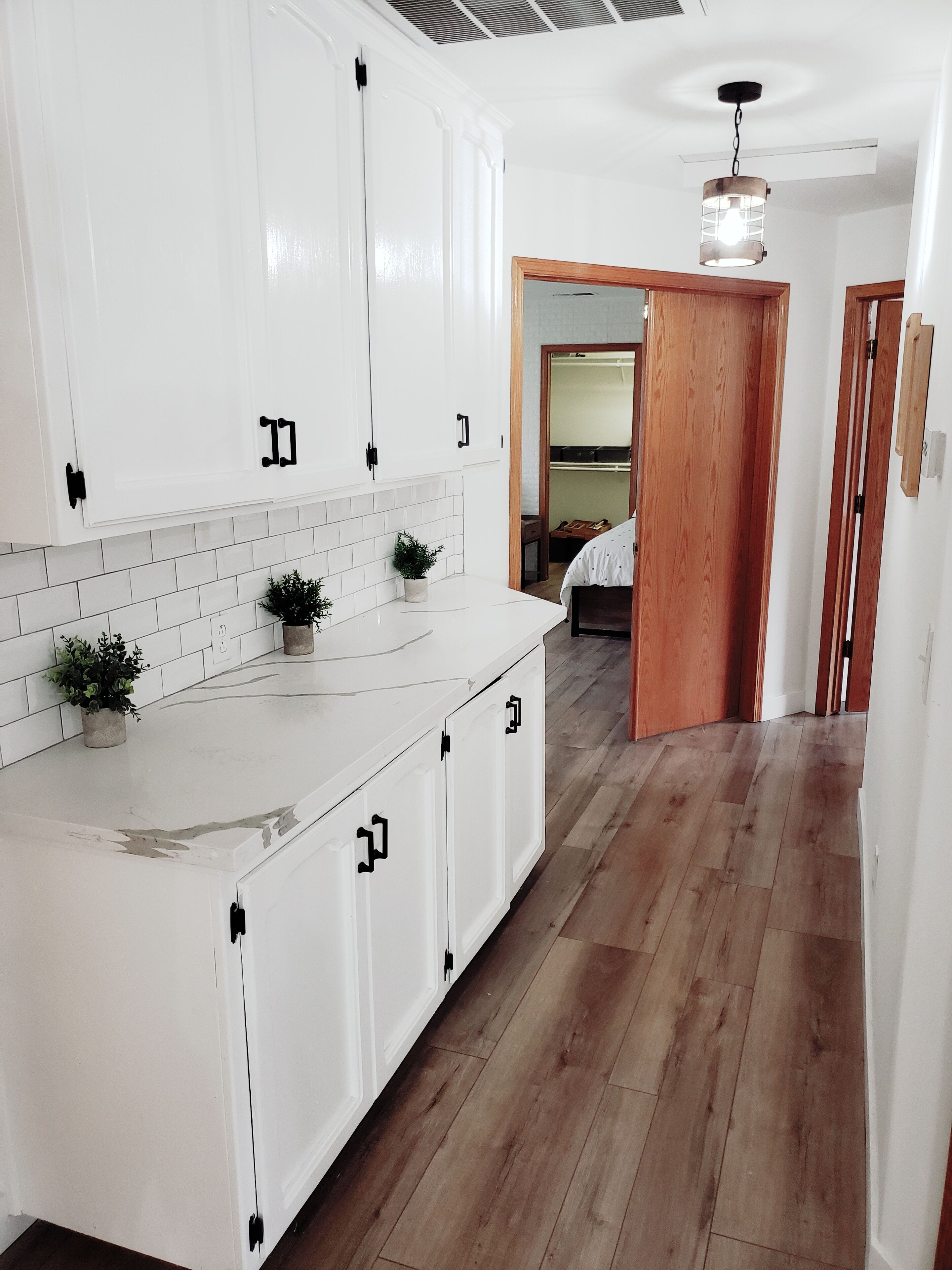 A modern kitchen with white cabinetry, a wooden floor, and a small potted plant on the counter.