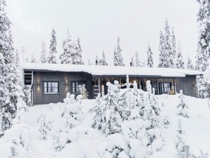 Eksteriør