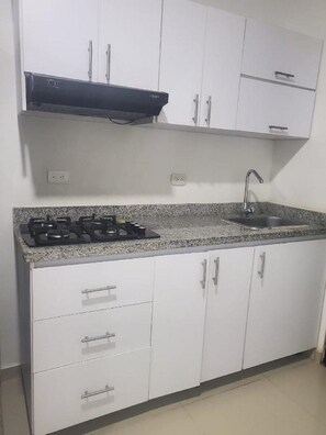 Fridge, stovetop, cookware/dishes/utensils