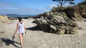 Une scène de plage avec une personne qui marche sur le sable, un promontoire rocheux et un arbre.
