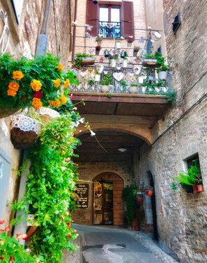 A narrow alley with a balcony adorned with potted plants and flowers.