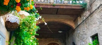 SPELLOHOUSE ALTANA SUITE