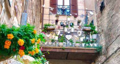 SPELLOHOUSE ALTANA SUITE