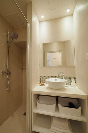 Shower, hair dryer, towels