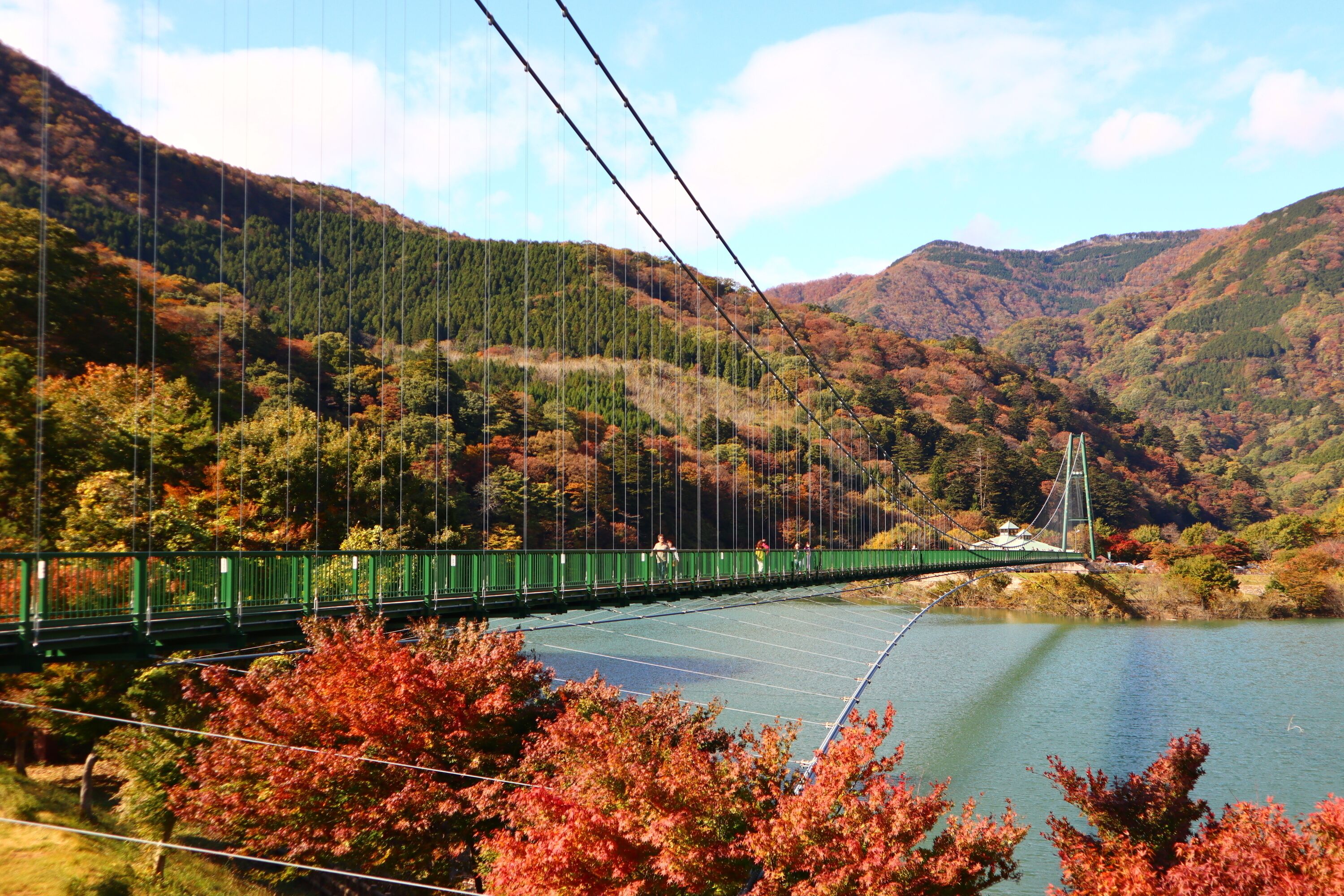 Eine Hängebrücke über einem Fluss, im Hintergrund Herbstlaub und Hügel.