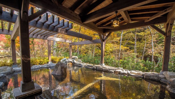 Unclassified image, 1 of 75, button - Shionoyu Onsen Rengetsu (Nasushiobara)