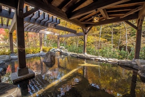 Public bath - Shionoyu Onsen Rengetsu (Nasushiobara)