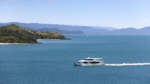 Eine Yacht fährt über ein ruhiges Meer, im Hintergrund eine hügelige Küstenlinie.