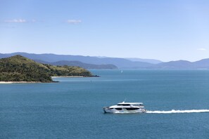 Un yacht navigue sur une mer calme, avec une côte vallonnée en arrière-plan.